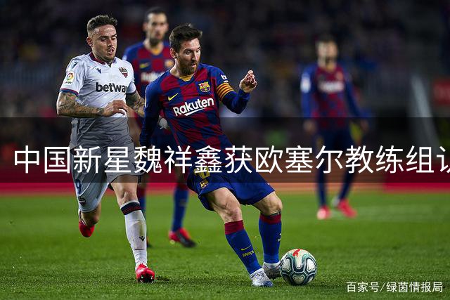 中国新星魏祥鑫获欧塞尔教练组认可 语言难关难阻法甲征程