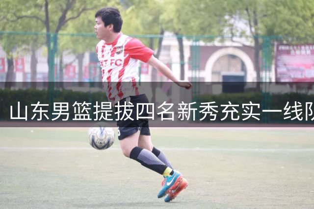 山东男篮提拔四名新秀充实一线队阵容